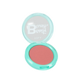 BLUSH COMPACTO BEAUTY - VIZZELA